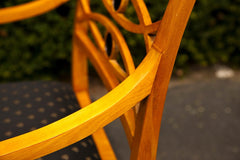 Pair of Swedish Birch Empire Arm Chairs