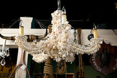 Coral Chandelier with Shells Attributed to Jensen