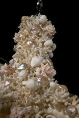 Coral Chandelier with Shells Attributed to Jensen