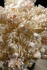 Coral Chandelier with Shells Attributed to Jensen