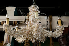 Coral Chandelier with Shells Attributed to Jensen