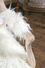 Zombie Poodle Louis XV Chairs